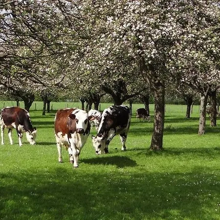 Charmante Petite Maison De A 20 Minutes De La