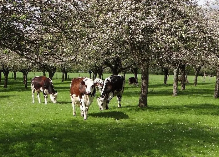 Charmante Petite Maison De A 20 Minutes De La